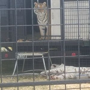 Meet your Posher, Melvin